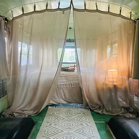 School Bus * Loupiac (Lot)